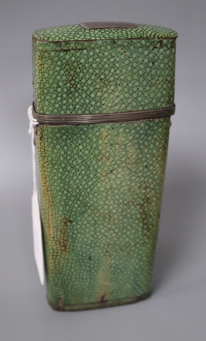 A shagreen necessaire case, no contents, length 17cm